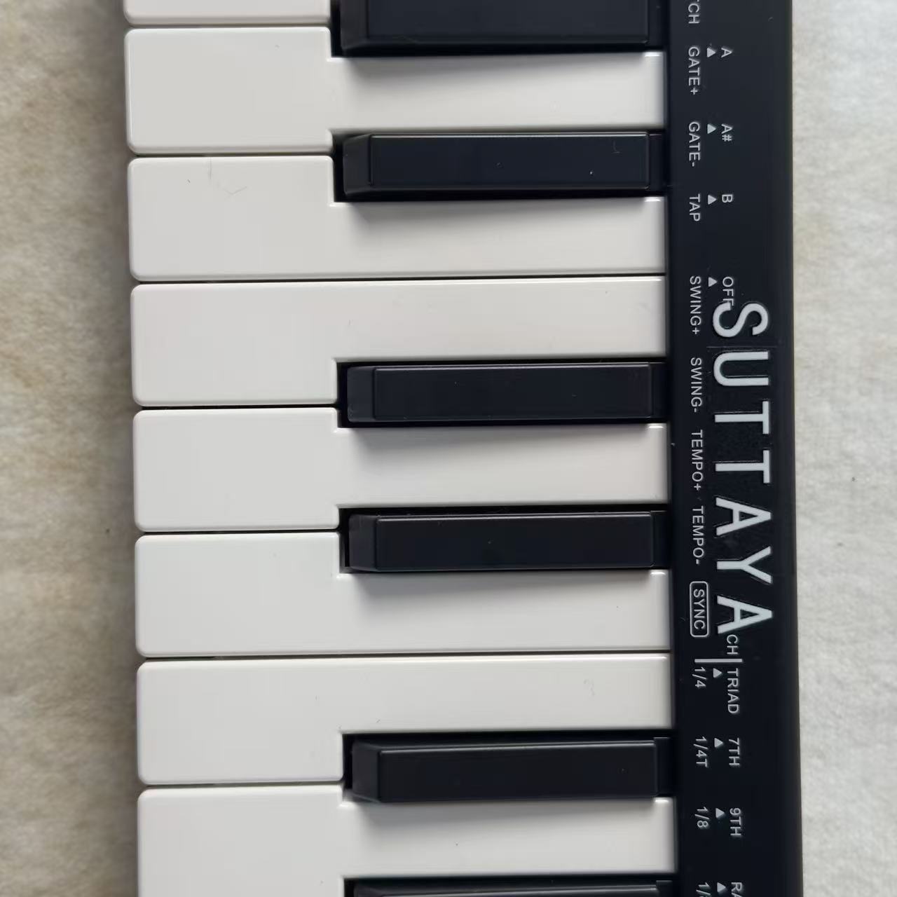 SUTTAYA Music Synthesizers: Black & White Plastic Electronic Keyboard