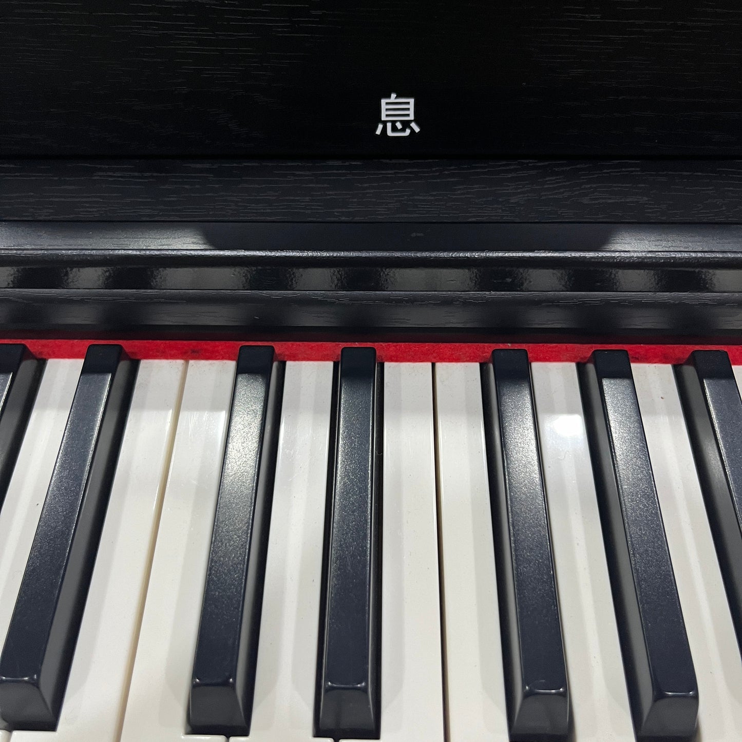 Electronic Instruments - 88-Key Weighted Action Digital Piano with Sustain Pedal and Power Adapter