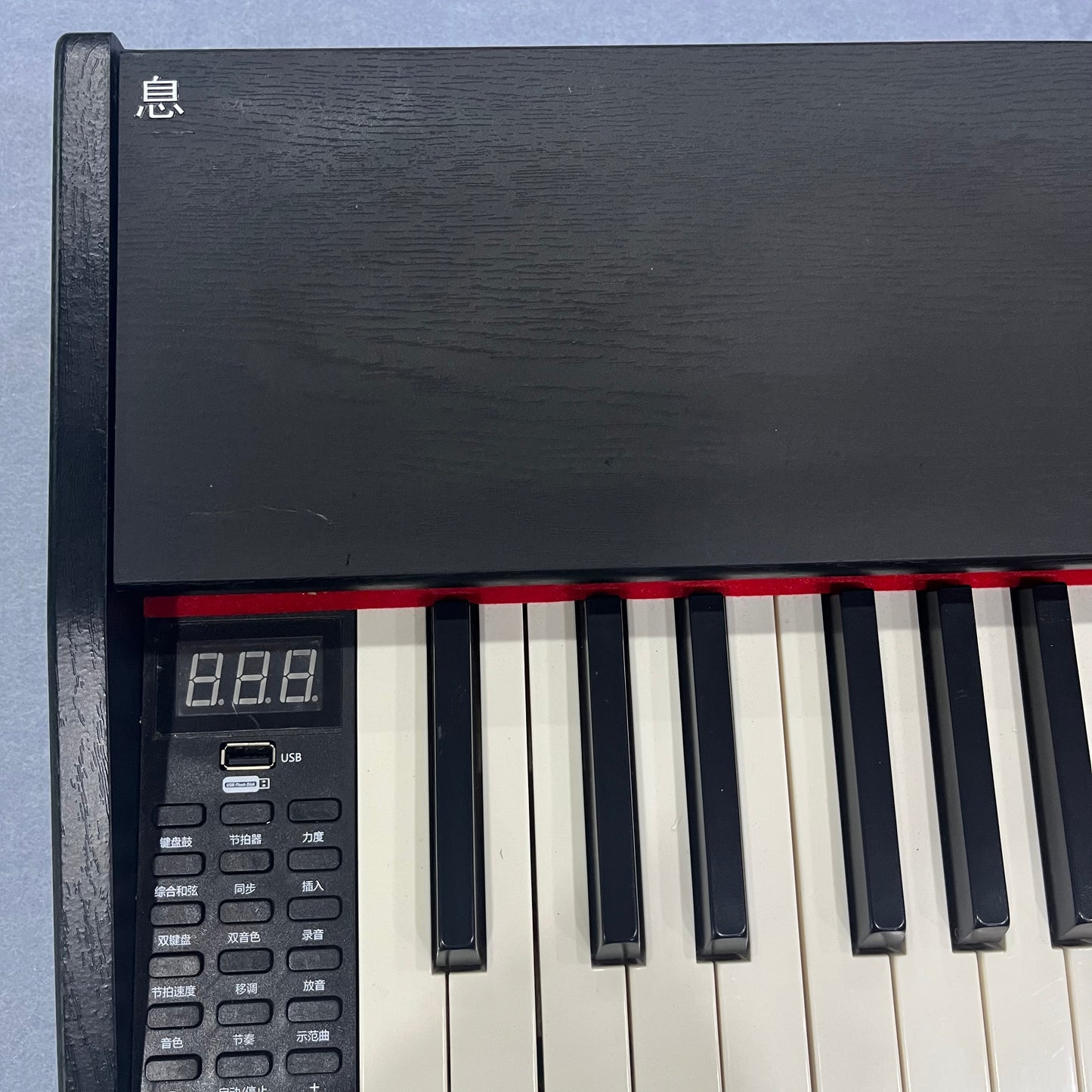 Electronic Instruments - 88-Key Weighted Action Digital Piano with Sustain Pedal and Power Adapter