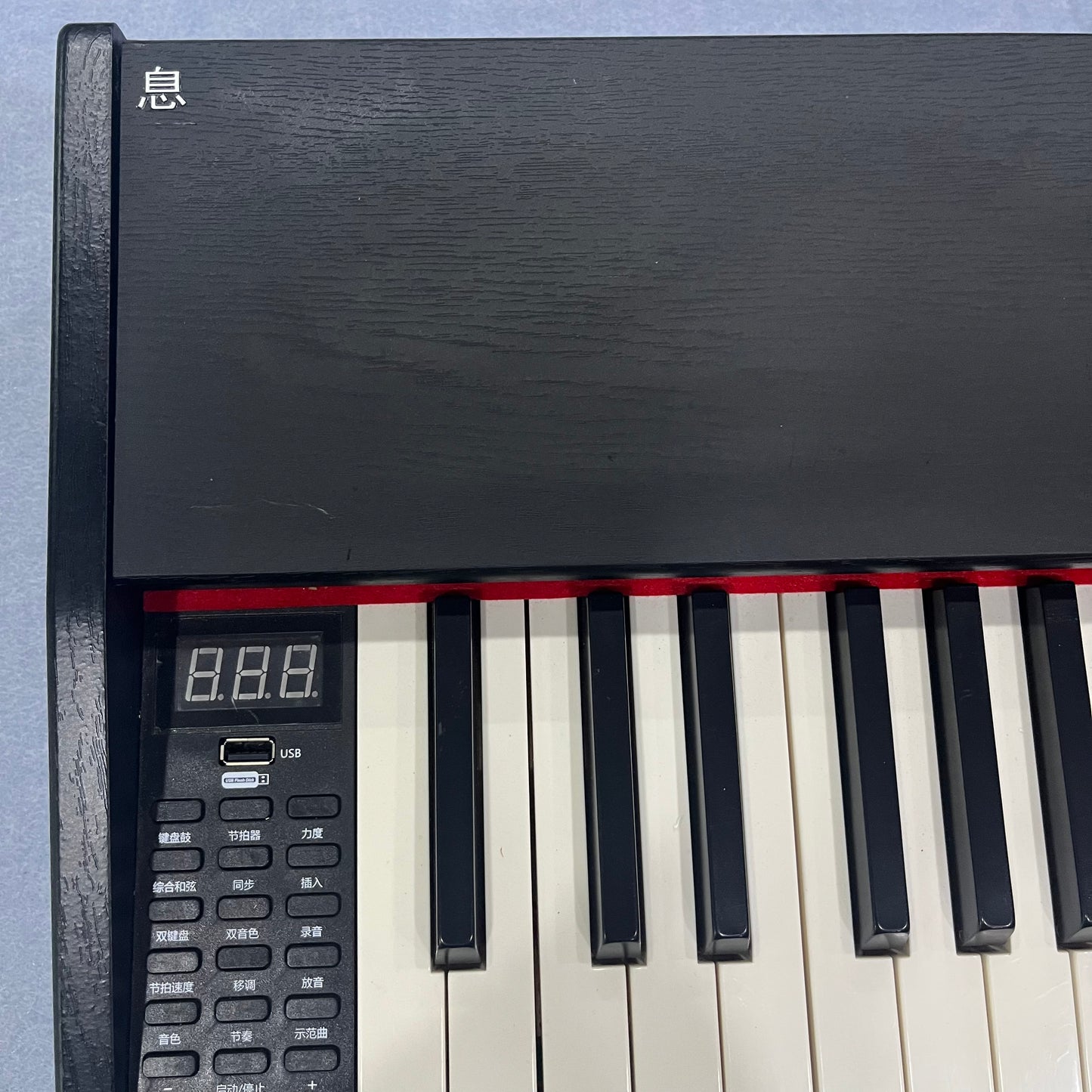 Electronic Instruments - 88-Key Weighted Action Digital Piano with Sustain Pedal and Power Adapter