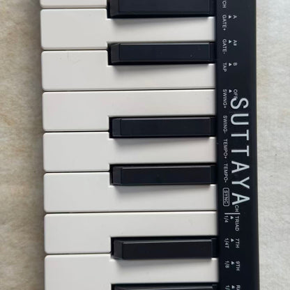 SUTTAYA Music Synthesizers: Black & White Plastic Electronic Keyboard